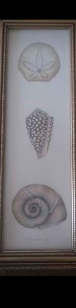Shell Penel Series by: Karyn Frances Gray 4.25x 13.75 inch